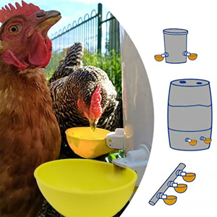 🔥🐔Fântână de apă automată, bol de băut pentru păsări de curte, accesorii de hrănire pentru fermă, pentru pui, rață, gâscă, porumbel